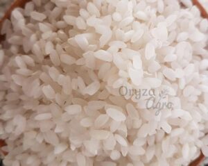 MEDIUM-RICE-oryzaagro