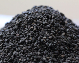 Natural-Black-Sesame-seed-oryzaagro