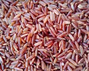 RED-RICE-oryzaagro