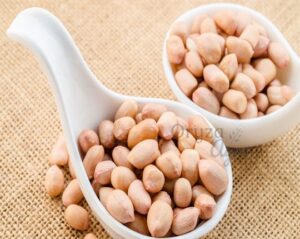 raw peanuts oyzaagro