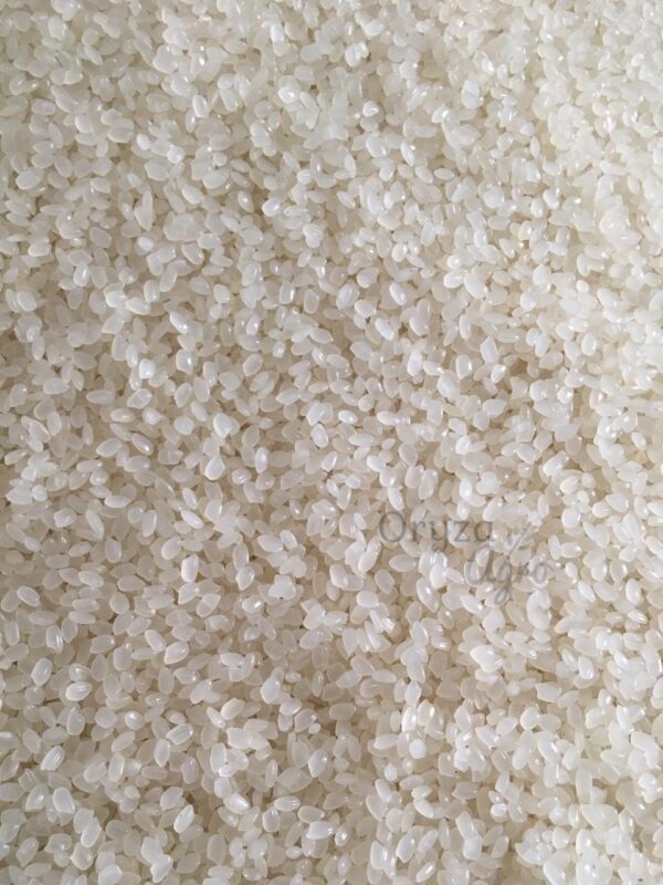 vietnam Japonica Rice oryzaagro