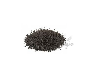 Basil-Seeds-oryzaagro