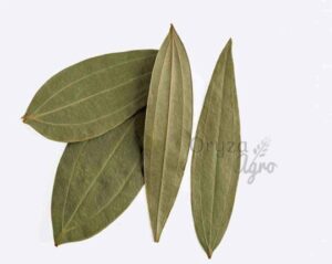 Bay-Leaves1-1-oryzaagro