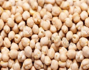 Chickpeas-oryzaagro