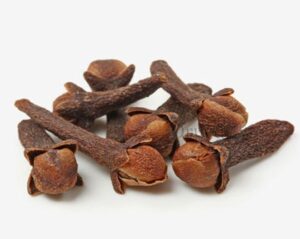 Clove-1-1-oryzaagro