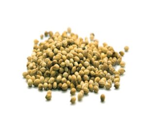 Corriander-Seeds-oryzaagro