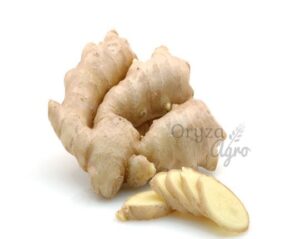 Dry-Ginger-1-oryzaagro