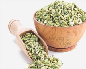 Fennel-Seeds1-oryzaagro