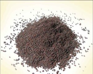 Mustard-Seeds-1-oryzaagro