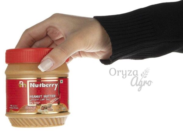 Nutberry Creamy 340gm - 2-oryzaagro