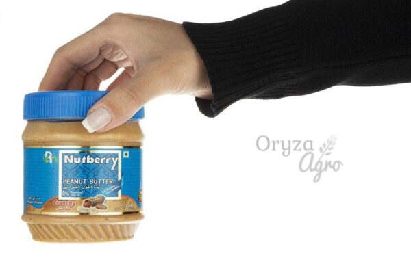Nutberry Crunchy 340gm - 2-oryzaagro