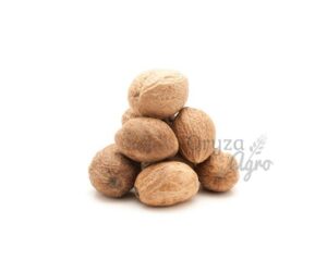 Nutmeg1-oryzaagro