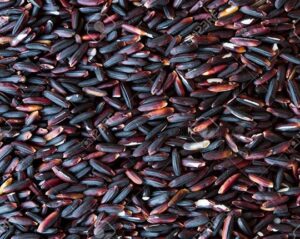 BLACK-GLUTINOUS-RICE-oryzaagro