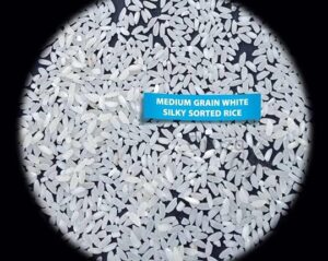 Indian-Non-Basmati-Meidum-Grain-white-Rice-oryzaagro