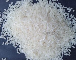 Indian-Non---Basmati-White-Rice-Long-Grain-oryzaagro