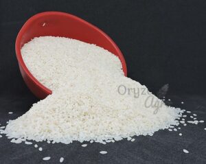 Jeerakasala-Rice-oryzaagro