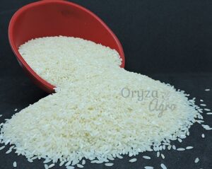 Sona-Masoori-oryzaagro
